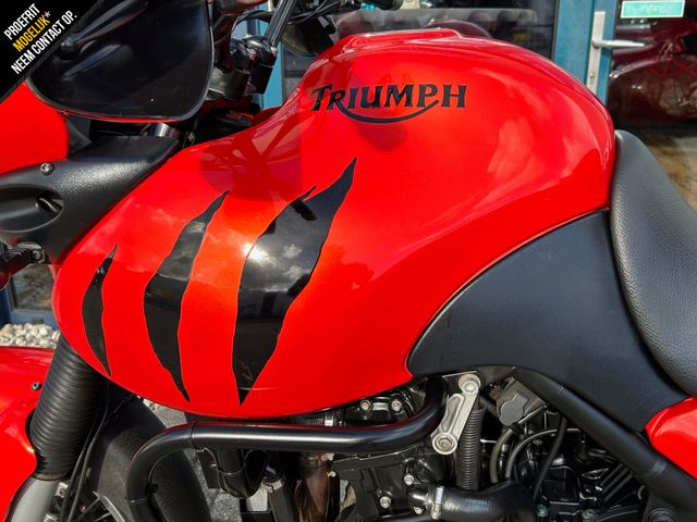 triumph - tiger