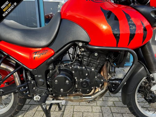triumph - tiger