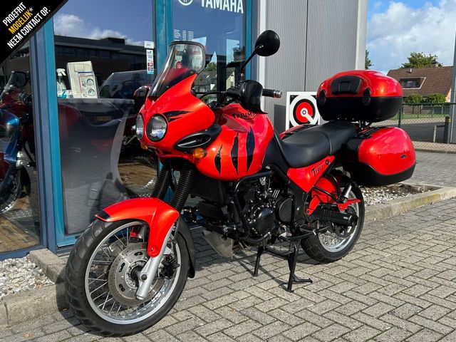 triumph - tiger