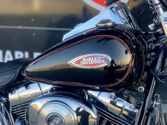 harley-davidson - springer-flsts-softail