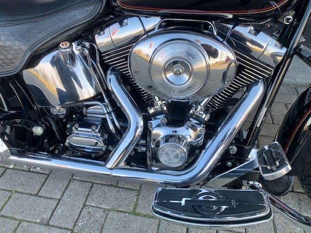 harley-davidson - springer-flsts-softail