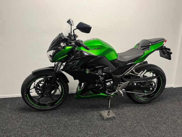 kawasaki - z-300