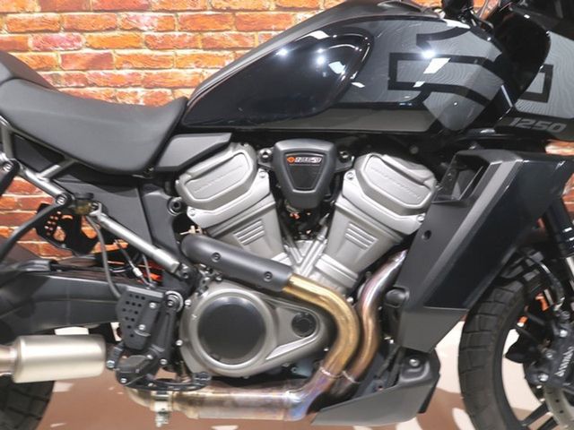 harley-davidson - pan-america--ra-1250