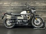 TRIUMPH SCRAMBLER 900