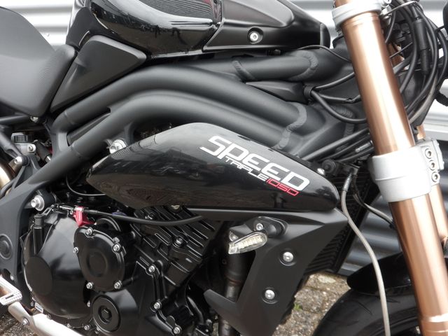 triumph - speed-triple