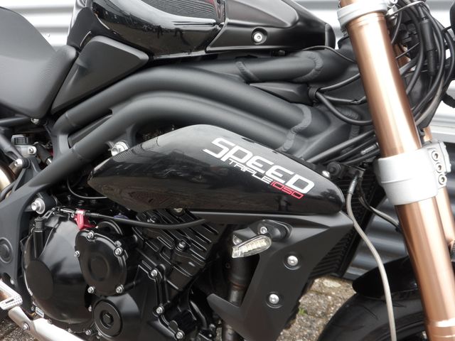 triumph - speed-triple