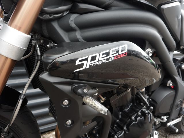 triumph - speed-triple