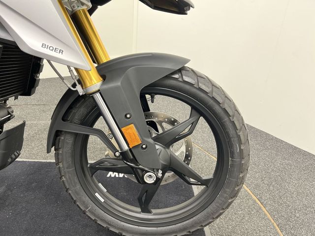 bmw - g-310-gs