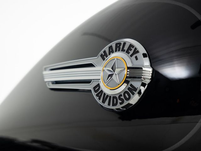 harley-davidson - fat-boy-flfb-softail