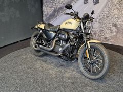 Harley-Davidson Iron 883 2015 occasion – foto 1 van 14