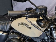 Harley-Davidson Iron 883 2015 occasion – foto 14 van 14