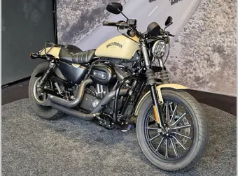 Harley-Davidson Iron 883 2015 occasion