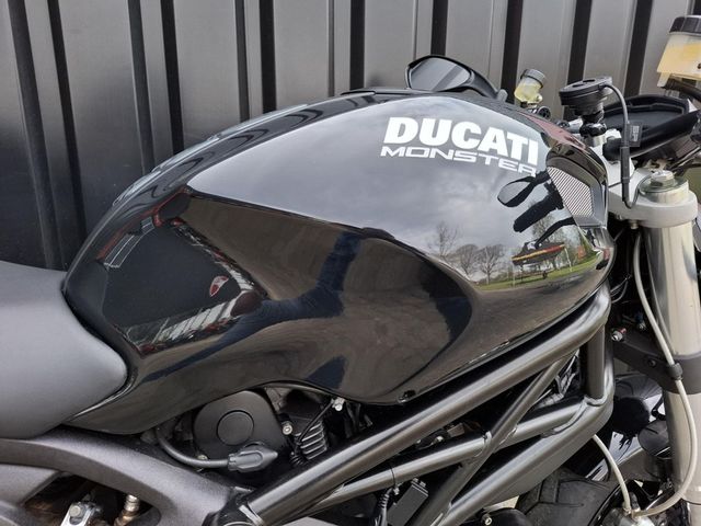 ducati - m-1100