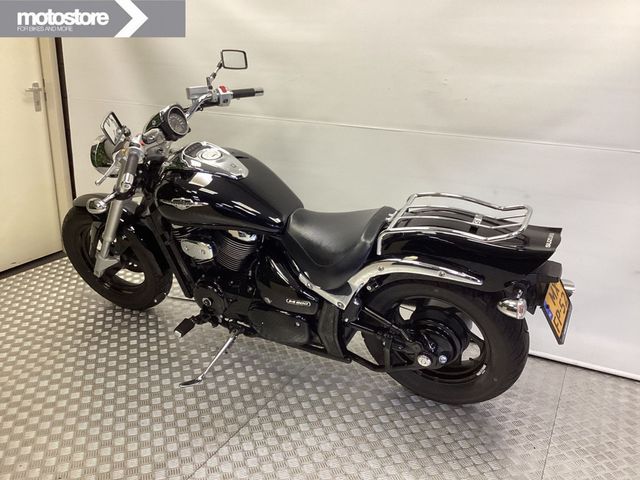 suzuki - new-intruder-m-800