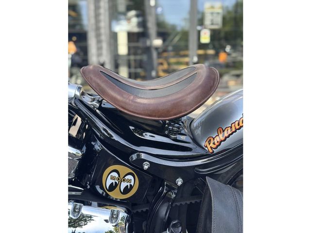 harley-davidson - softail-custom-fxstc