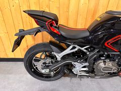 Qjmotor SRK 421 RR 2026 nieuw – foto 9 van 25