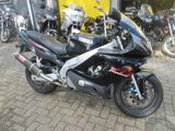 YAMAHA YZF 600 R THUNDERCAT