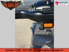 Harley-Davidson LOW Rider Fxrs 117 CI 2022 occasion – foto 7 van 22