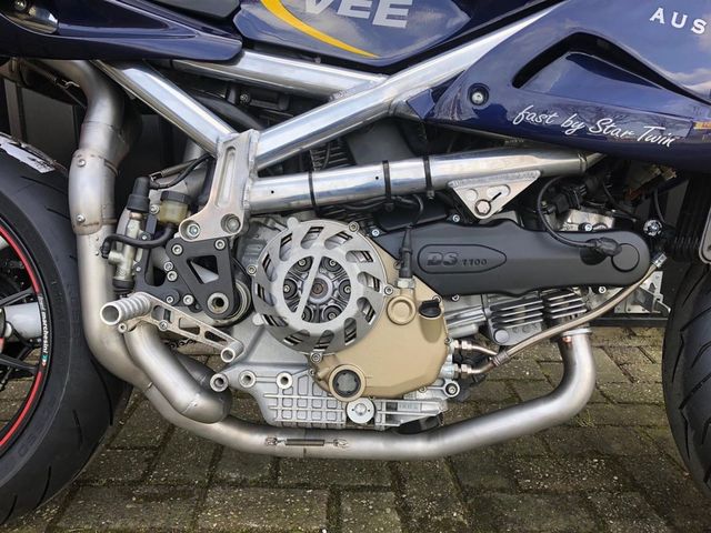 ducati - squalo