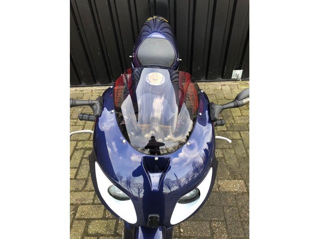 ducati - squalo