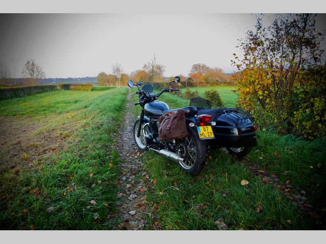 kawasaki - w800-street