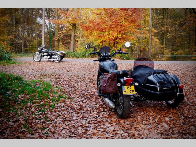 kawasaki - w800-street