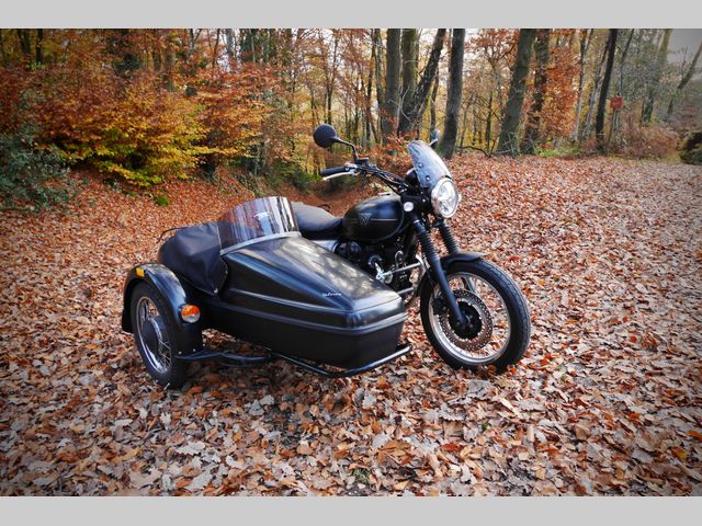 kawasaki - w800-street