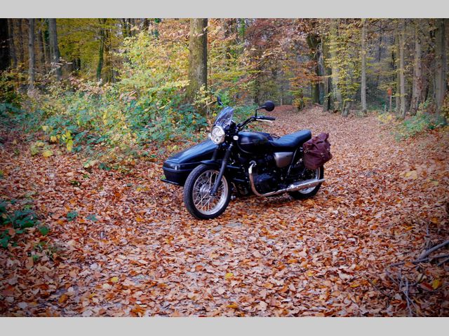 kawasaki - w800-street