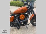 HARLEY-DAVIDSON SPORTSTER 1200 CUSTOM