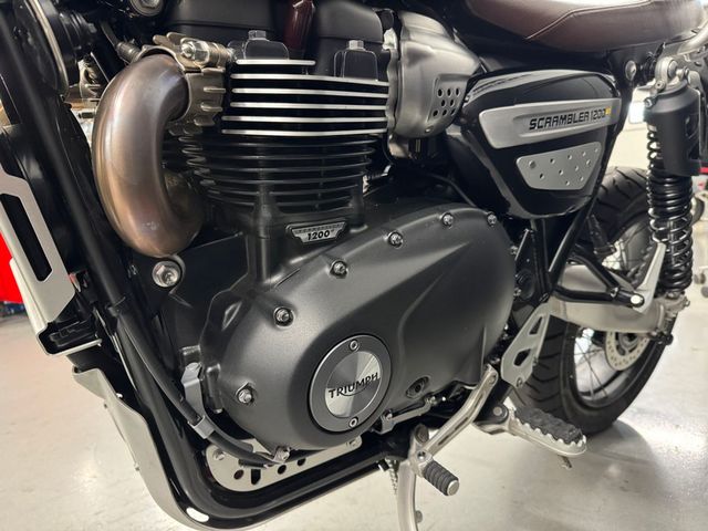 triumph - scrambler-1200-xe