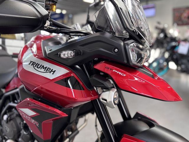 triumph - tiger-900-gt-pro