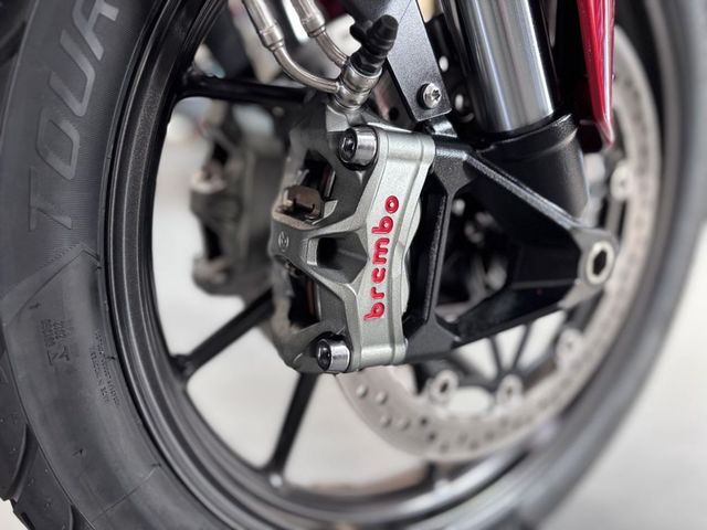 triumph - tiger-900-gt-pro