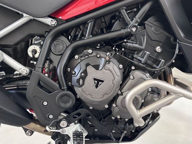 triumph - tiger-900-gt-pro