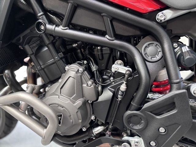triumph - tiger-900-gt-pro