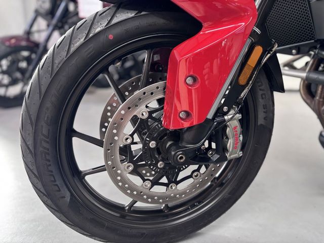 triumph - tiger-900-gt-pro