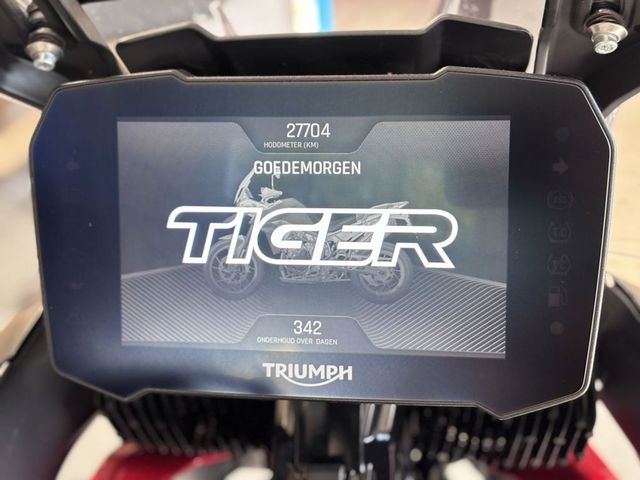 triumph - tiger-900-gt-pro