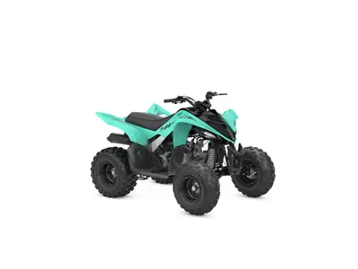 YAMAHA YFM 110 – foto 2