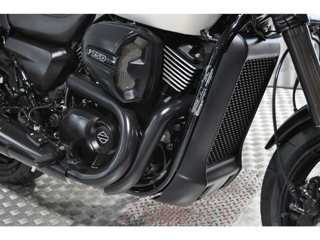 harley-davidson - street-rod