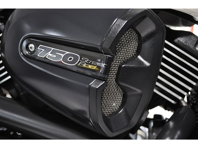 harley-davidson - street-rod