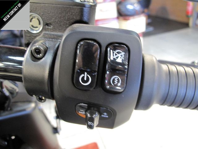 indian - springfield-dark-horse