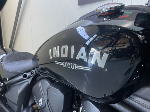 indian - scout-bobber