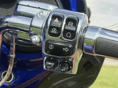Harley-Davidson Flhxse CVO Street Glide 2017 occasion – foto 8 van 10
