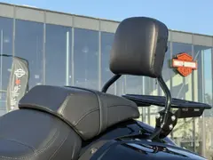 Harley-Davidson Flsb Sport Glide Vivid Black 2024 occasion – foto 7 van 19