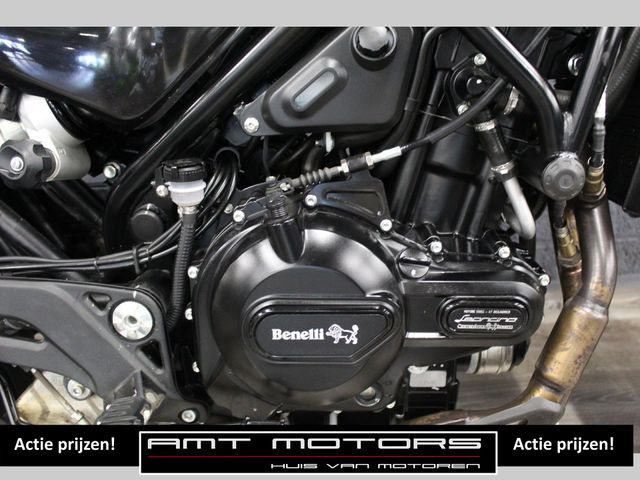benelli - leoncino-500