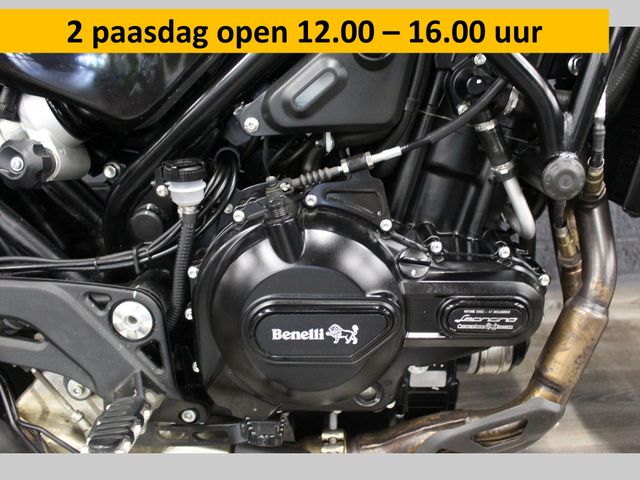 benelli - leoncino-500