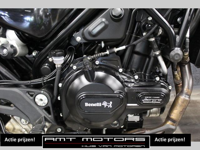 benelli - leoncino-500