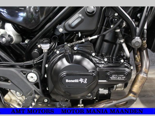 benelli - leoncino-500