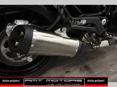 Benelli Leoncino 500 2022 occasion – foto 7 van 17