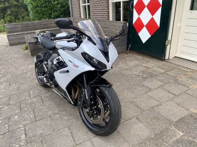 triumph - daytona-660