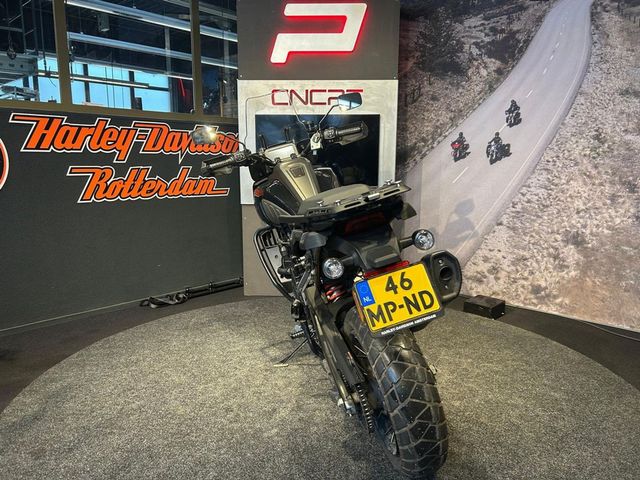 harley-davidson - pan-america--ra-1250-special